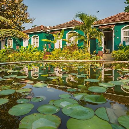 Aquatica Resorts & Spa Morjim Luaran gambar